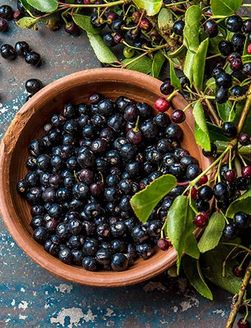 glucoberry,glucoberry supplement review,glucoberry review,glucoberry supplement,dr. mark glucoberry,glucoberry buy,glucoberry blood sugar supplement,md process glucoberry,glucoberry blood sugar support,glucoberry works,is glucoberry safe,glucoberry 2023,glucoberry ingredients,buy glucoberry,get glucoberry,glucoberry price,glucoberry is good,glucoberry really works,glucoberry supplement reviews,glucoberry is worth it